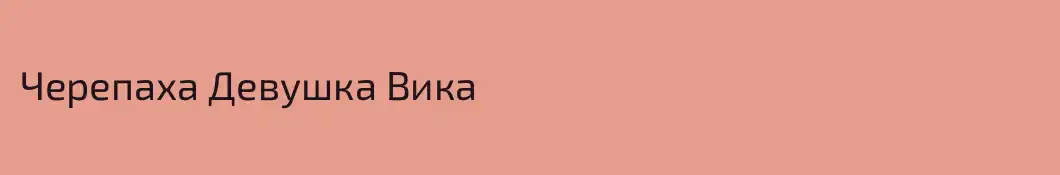 Черепаха Девушка Вика